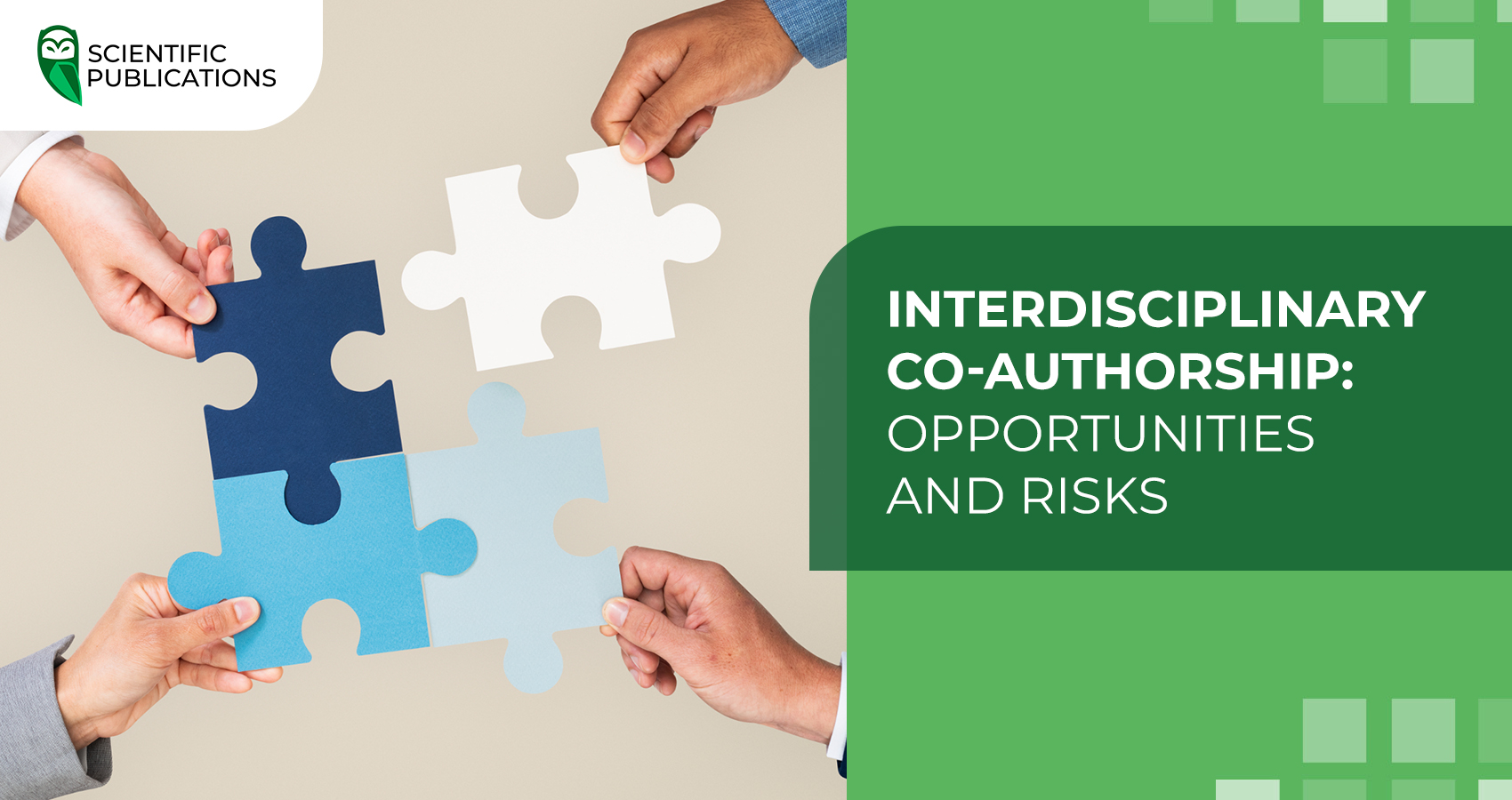 Interdisciplinary co-authorship: opportunities and risks